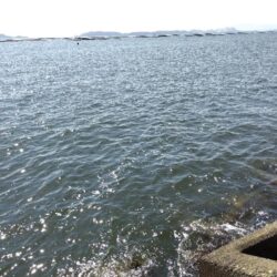 キスは釣れたけれど。