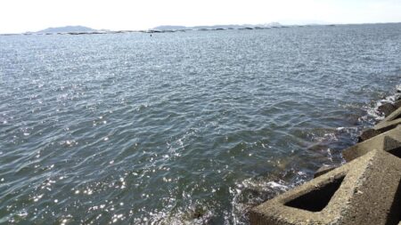 キスは釣れたけれど。