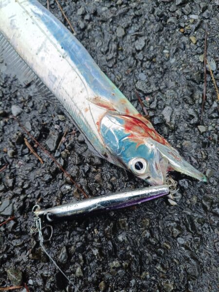 相変わらず混んでます