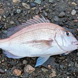 遠征釣行１日目