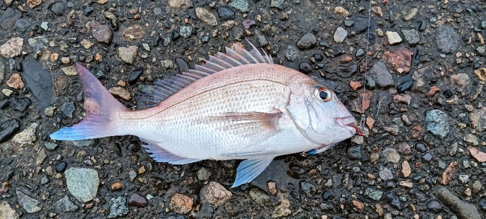 遠征釣行１日目
