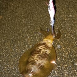 遠征釣行　2日目