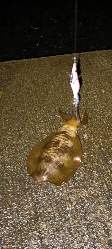 遠征釣行　2日目