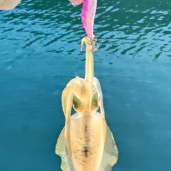 連休最終日に