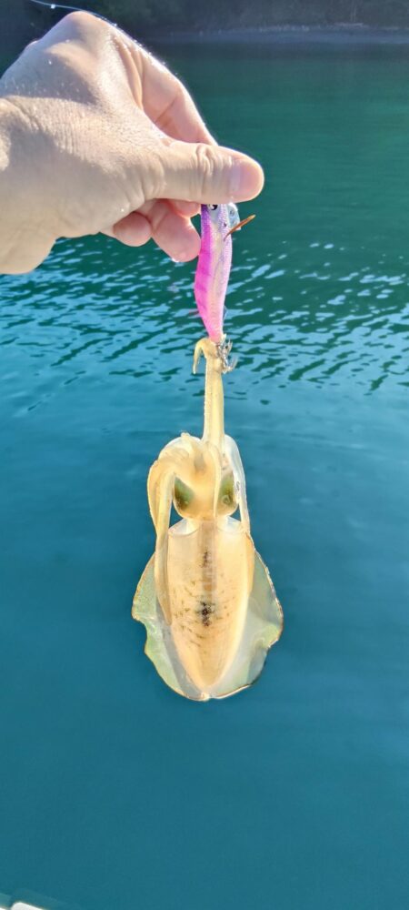 連休最終日に