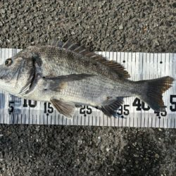 イチノ兄弟、釣果！