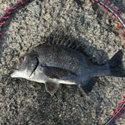 イチノ兄弟、釣果！