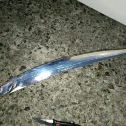 今年初めての太刀魚