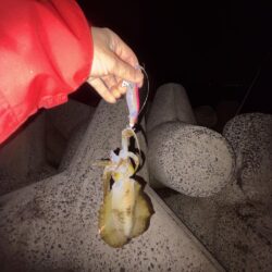 淡路島解禁
