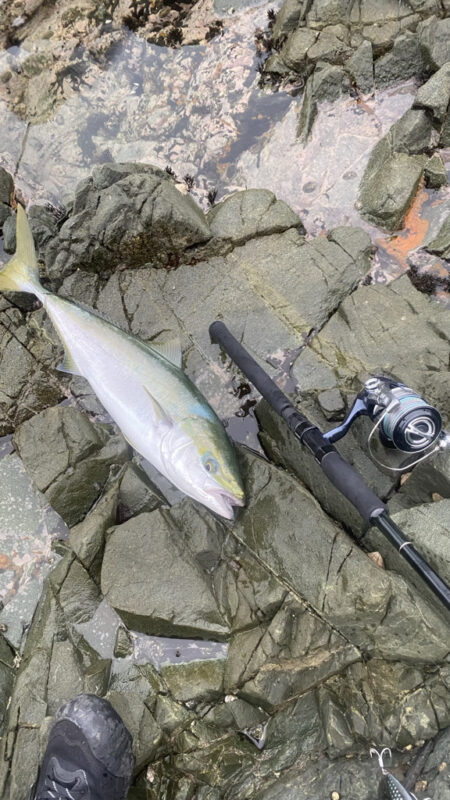 グダグダからのワチャワチャ
