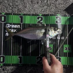 昨日に続いて