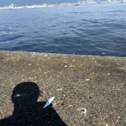 ムコイチ釣行