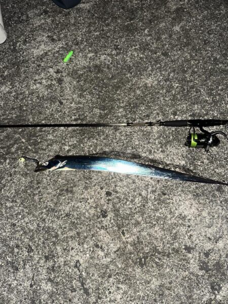 タチウオ釣り