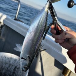 厳しい紀北ジギング