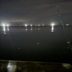 太刀魚釣り