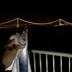 手前に大サバ、奥にタチウオ