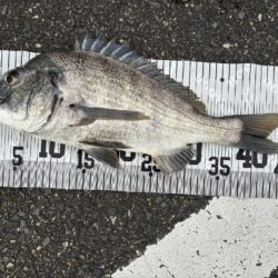 イチノ兄弟、釣果！