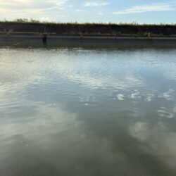 ハゼ釣り