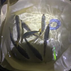 悪天候ですが