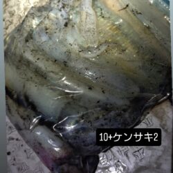 大雨風強ナイトティップラン