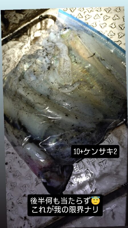 大雨風強ナイトティップラン
