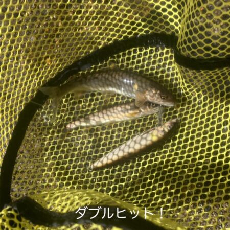 爆風スランプ回避！アユイング (北茨城市)