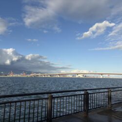 神戸空港ベランダ調査