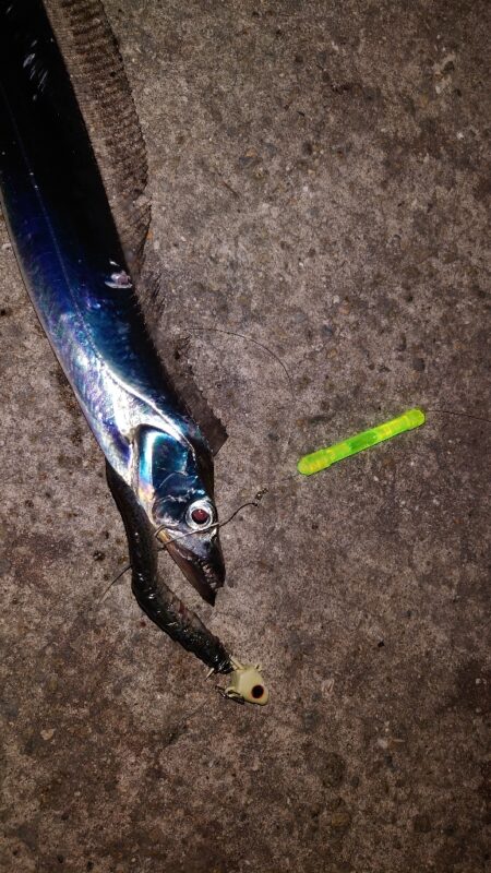 引き釣り 5