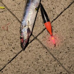 魚種豊富な六甲マリンパーク