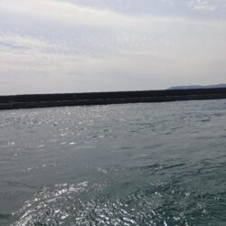 コブダイ釣り