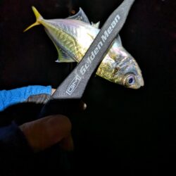 初