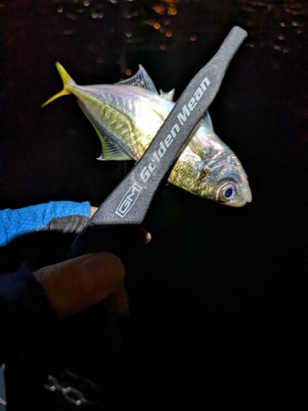 初