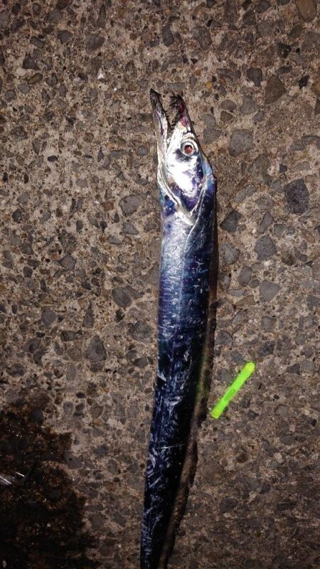 引き釣り 4