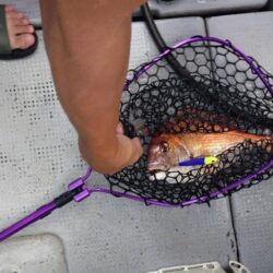 今季初のライトジギング