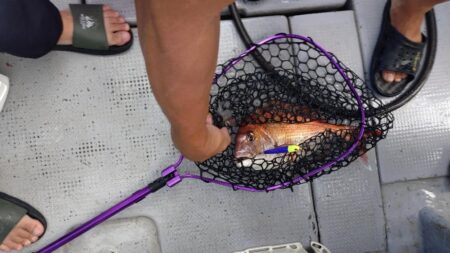 今季初のライトジギング