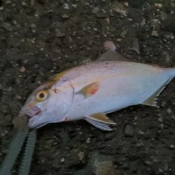 遠征釣行１日目