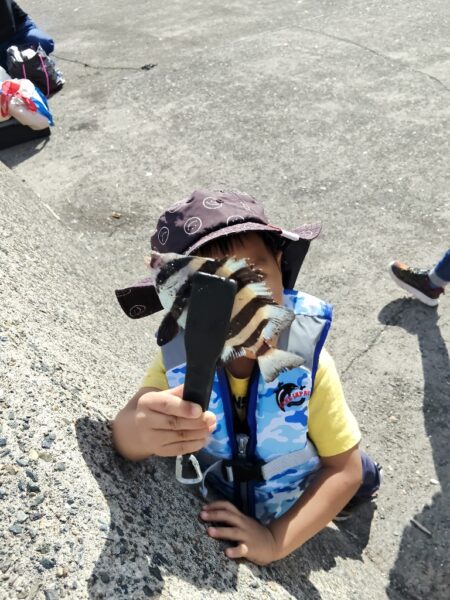 釣りデビュー🎣