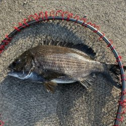 イチノ兄弟、釣果!