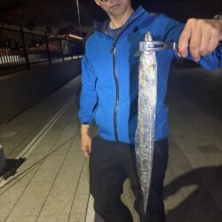 今日は活性良かった。