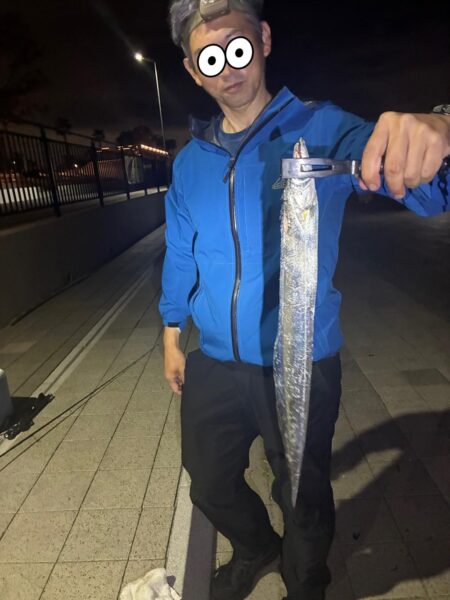 今日は活性良かった。