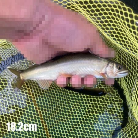 秋晴れのアユイング！荒瀬周辺を粘って攻略 (北茨城市)