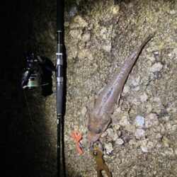しまなみで釣り