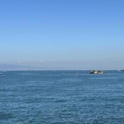 釣れてないけど何とか1本