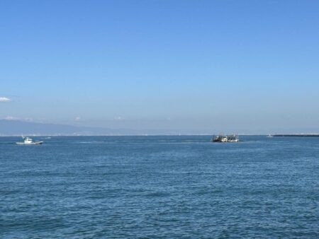 釣れてないけど何とか1本