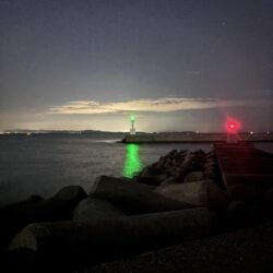 尺アジ