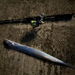 タチウオ釣り