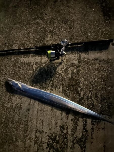 タチウオ釣り