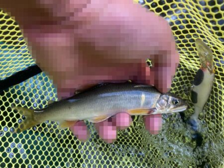 強風の連休最終日、アユイングで良型ラッシュ！(北茨城市)