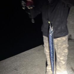 淡路島