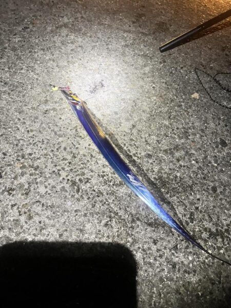 大サバ釣れすぎ注意